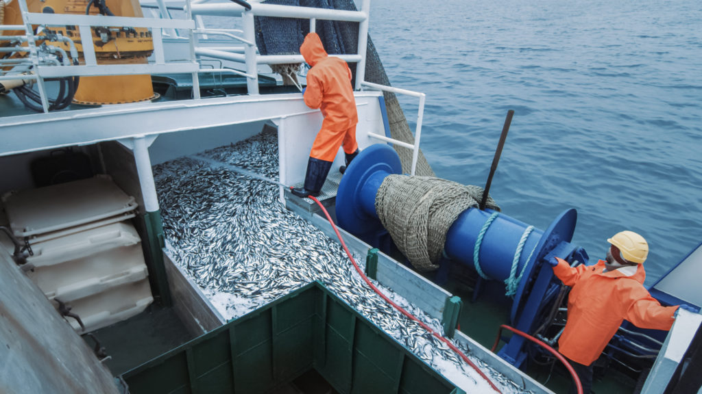 Responsible Fishing Vessel Standard Applies for SSCI Benchmarking